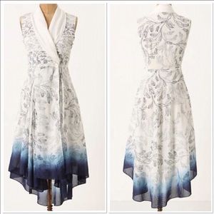 Anthropologie dress rare